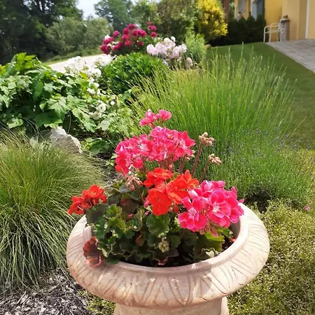 Apartment Casa Sol-rural Near Linz Katsdorf