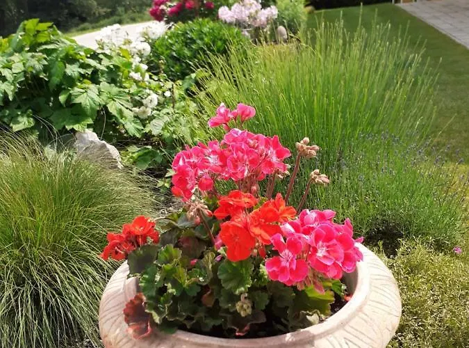 Διαμέρισμα Casa Sol-rural Near Linz Katsdorf